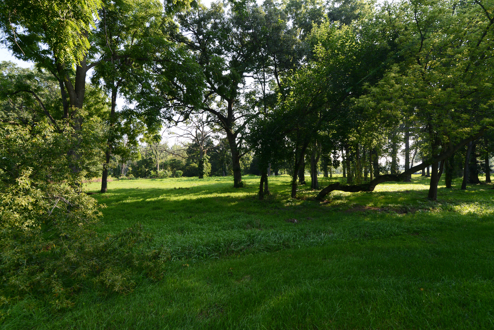 Lot 1 Royal Fox Drive