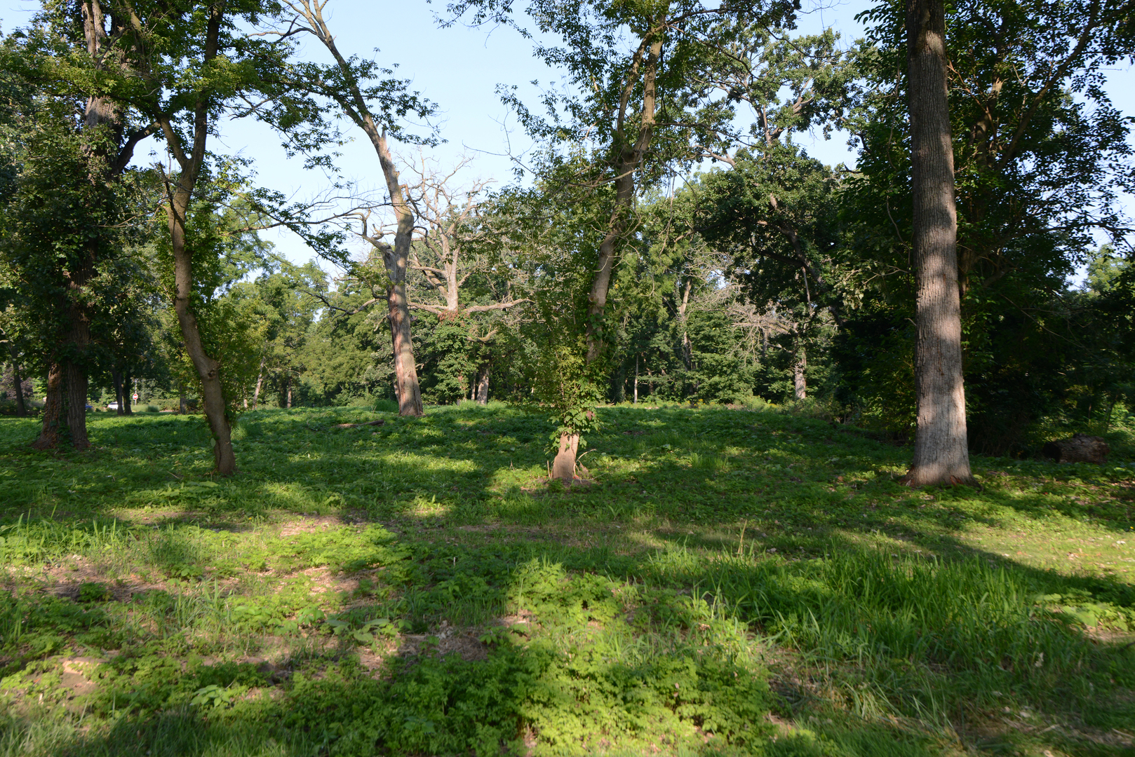 Lot 1 Royal Fox Drive