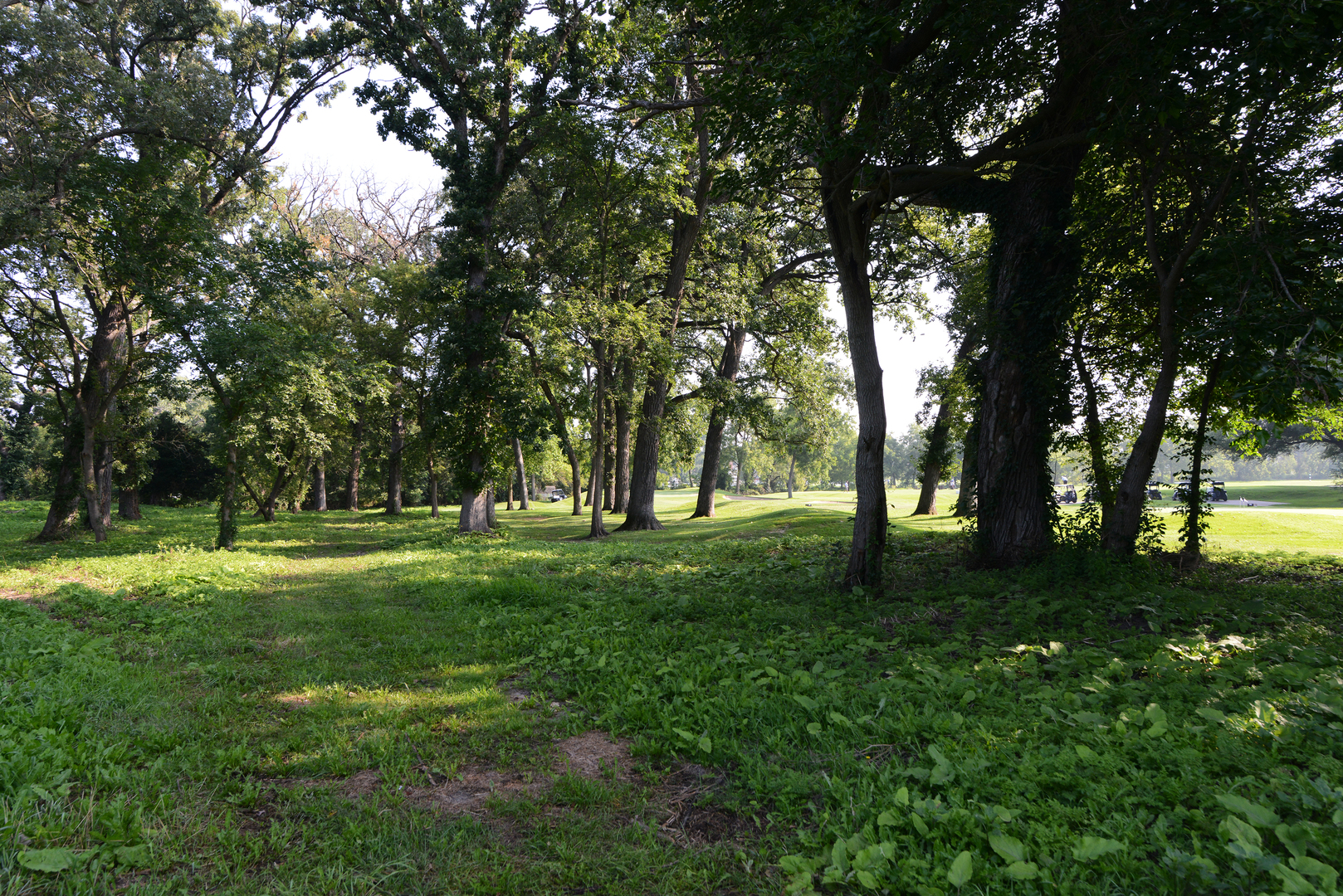 Lot 1 Royal Fox Drive