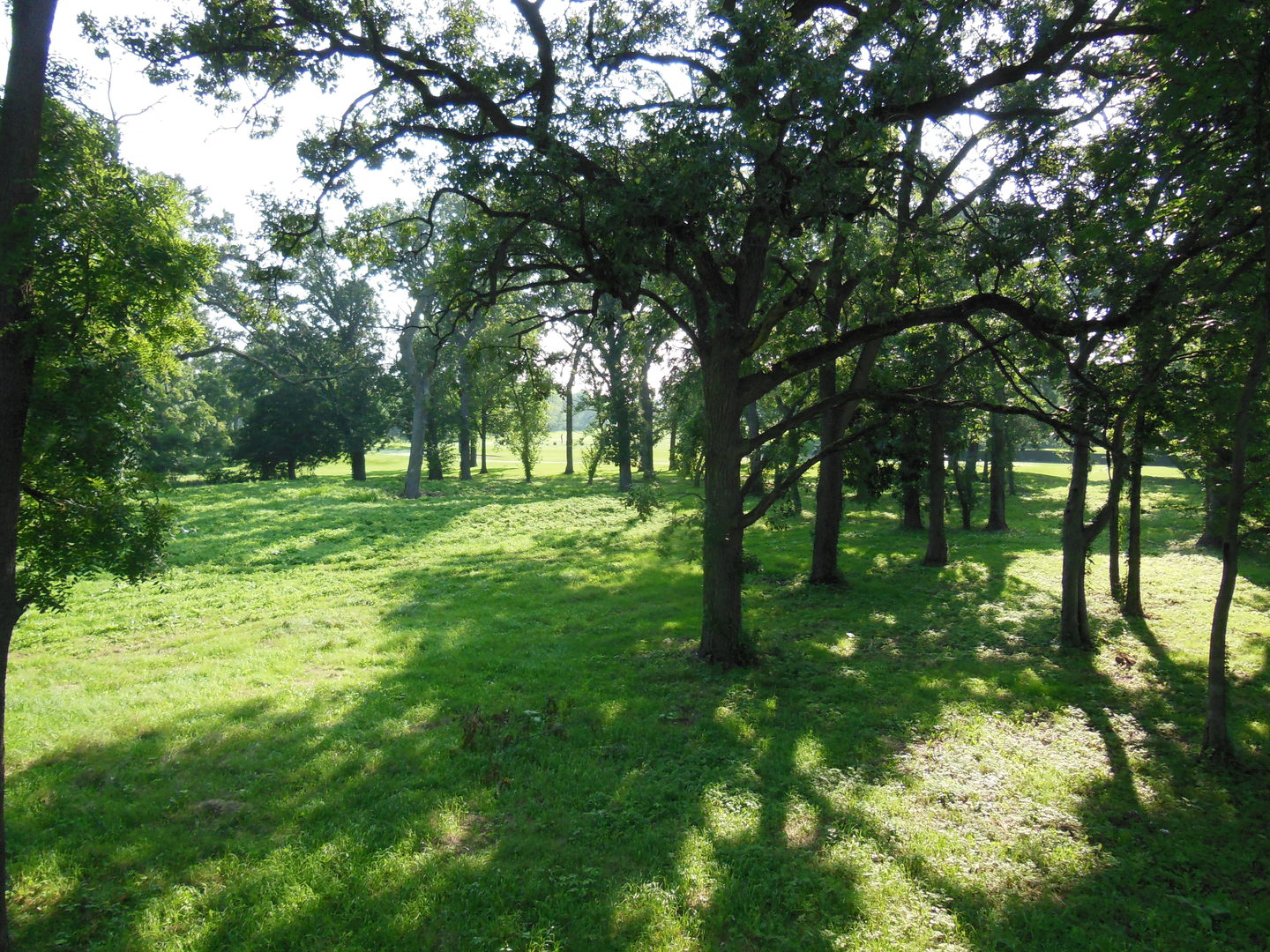 Lot 1 Royal Fox Drive