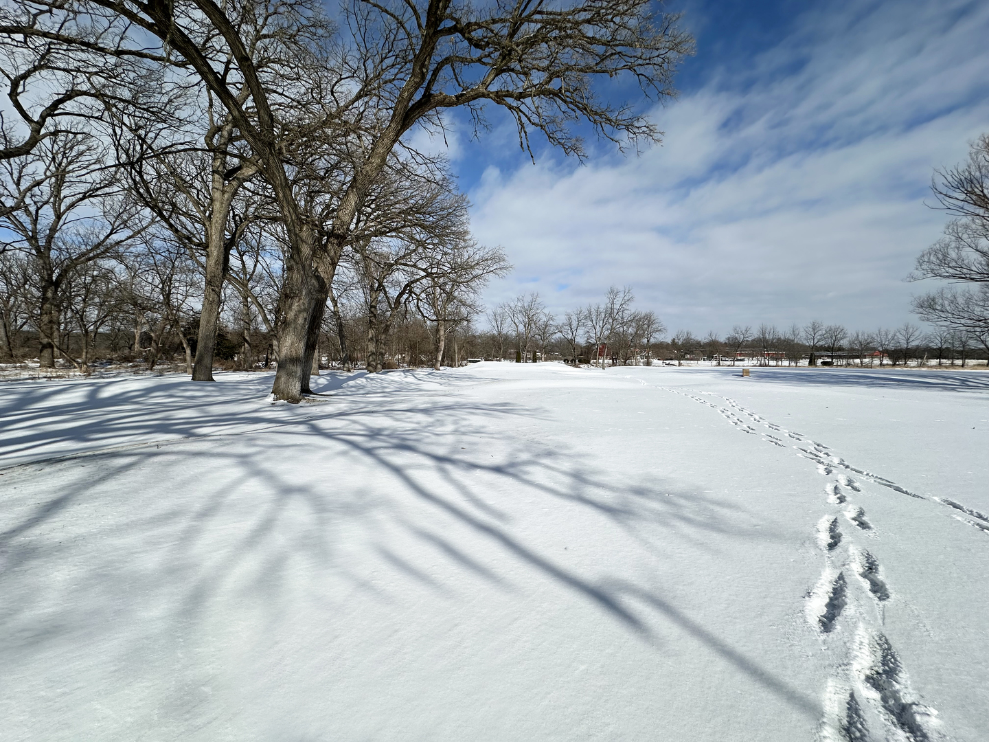 Lot 1 Royal Fox Drive