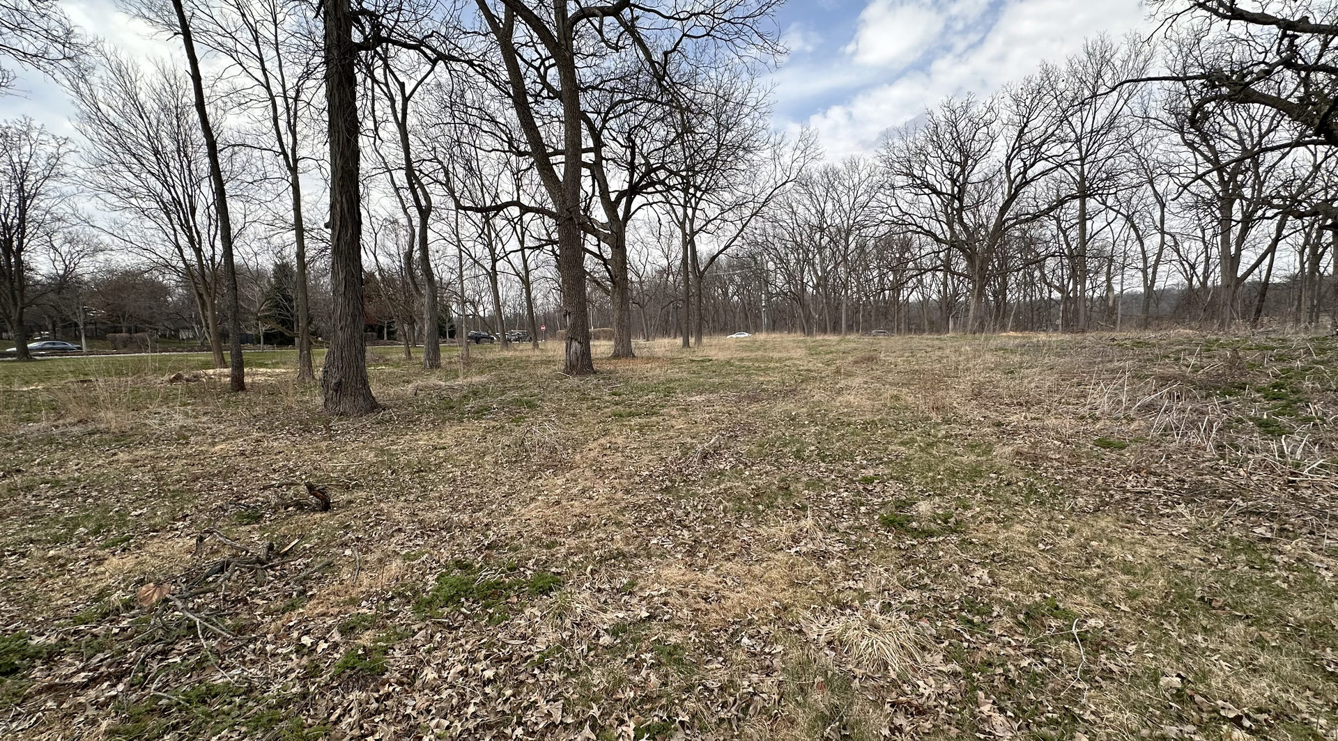 Lot 1 Royal Fox Drive