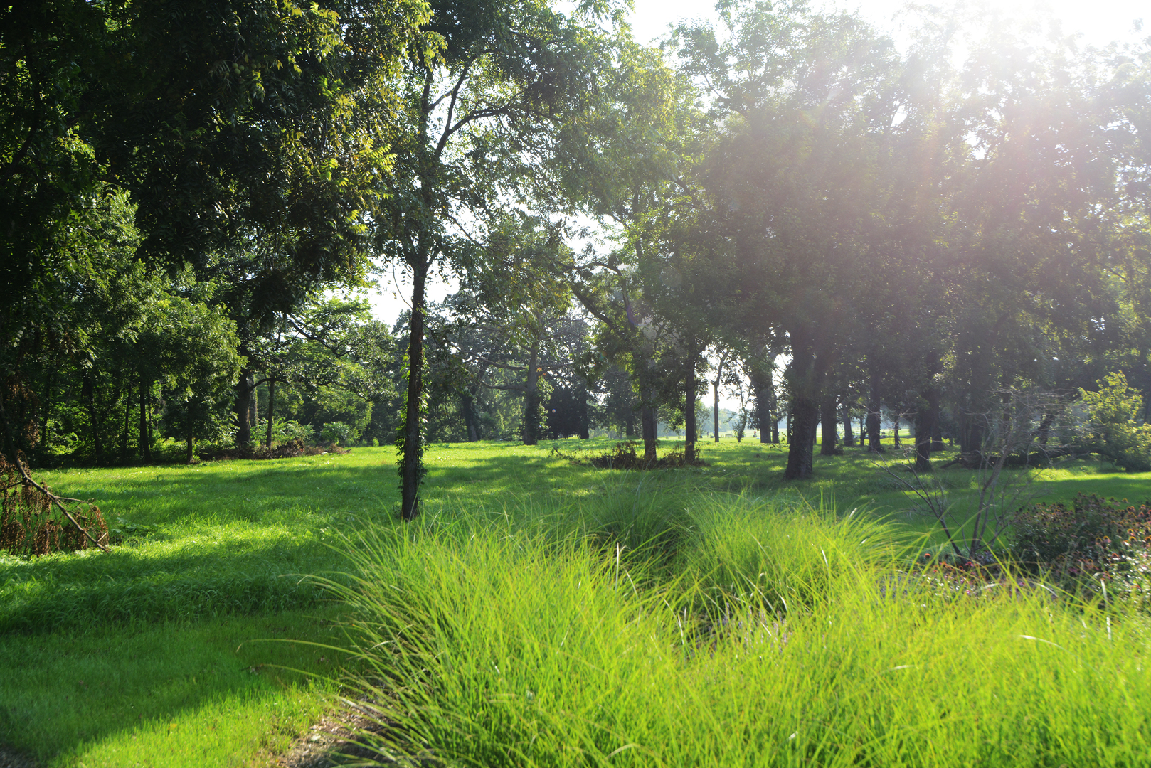 Lot 1 Royal Fox Drive