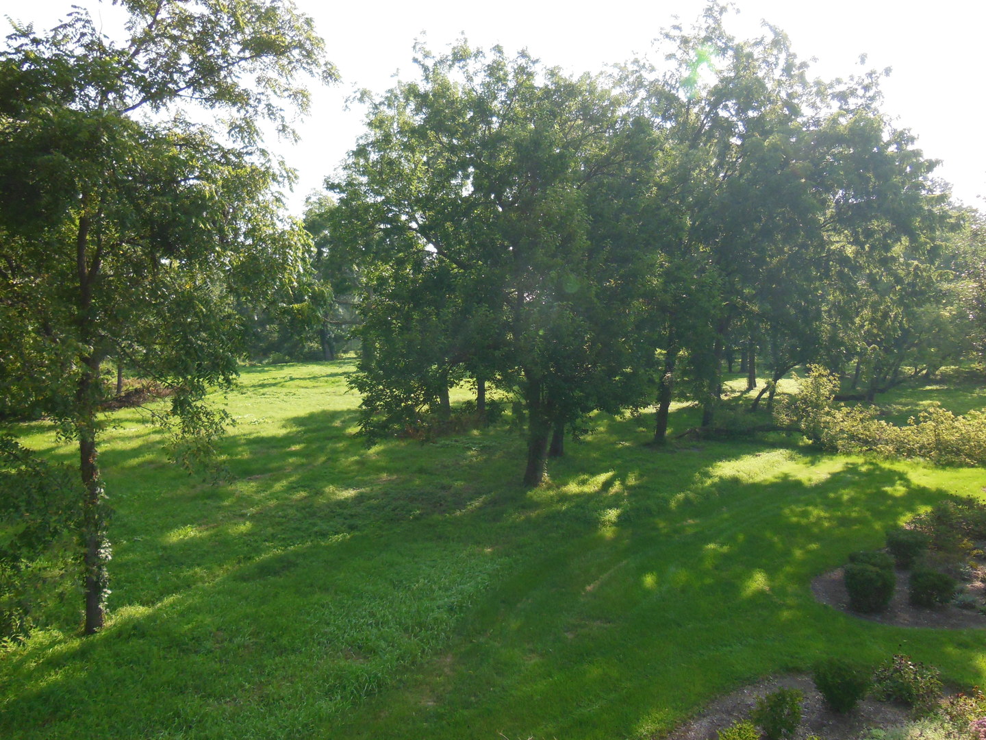 Lot 1 Royal Fox Drive