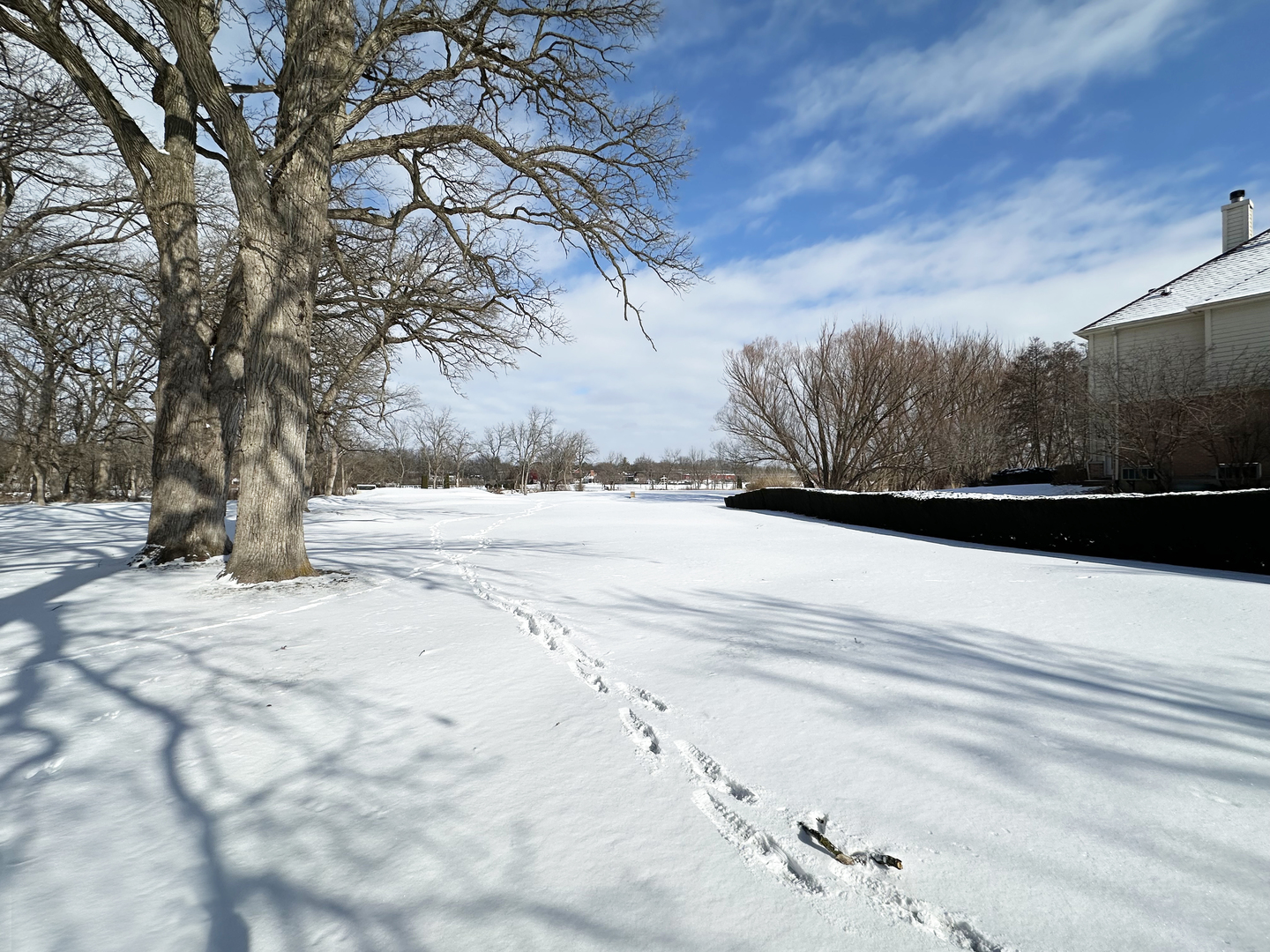 Lot 1 Royal Fox Drive