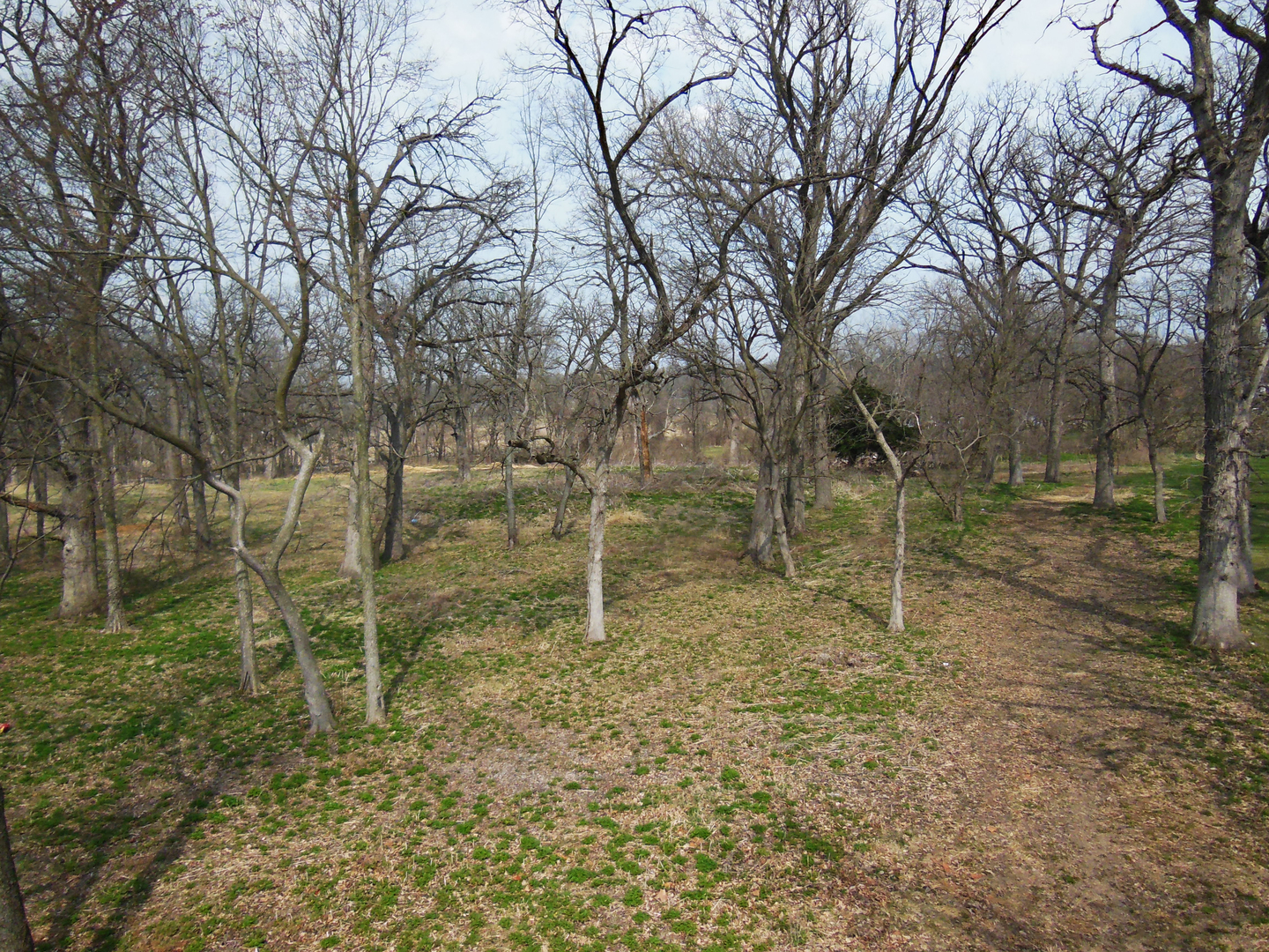 Lot 1 Royal Fox Drive