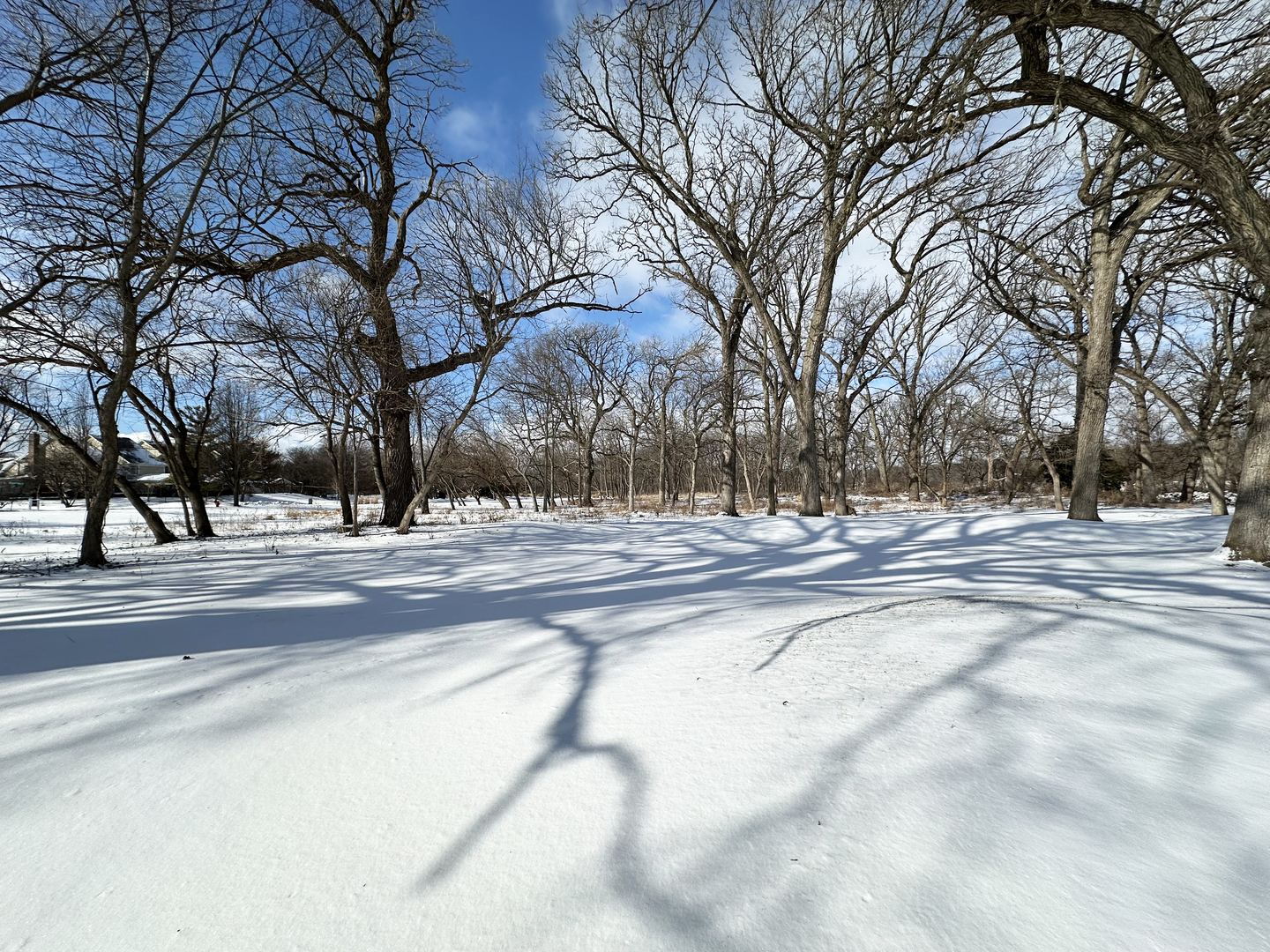 Lot 1 Royal Fox Drive