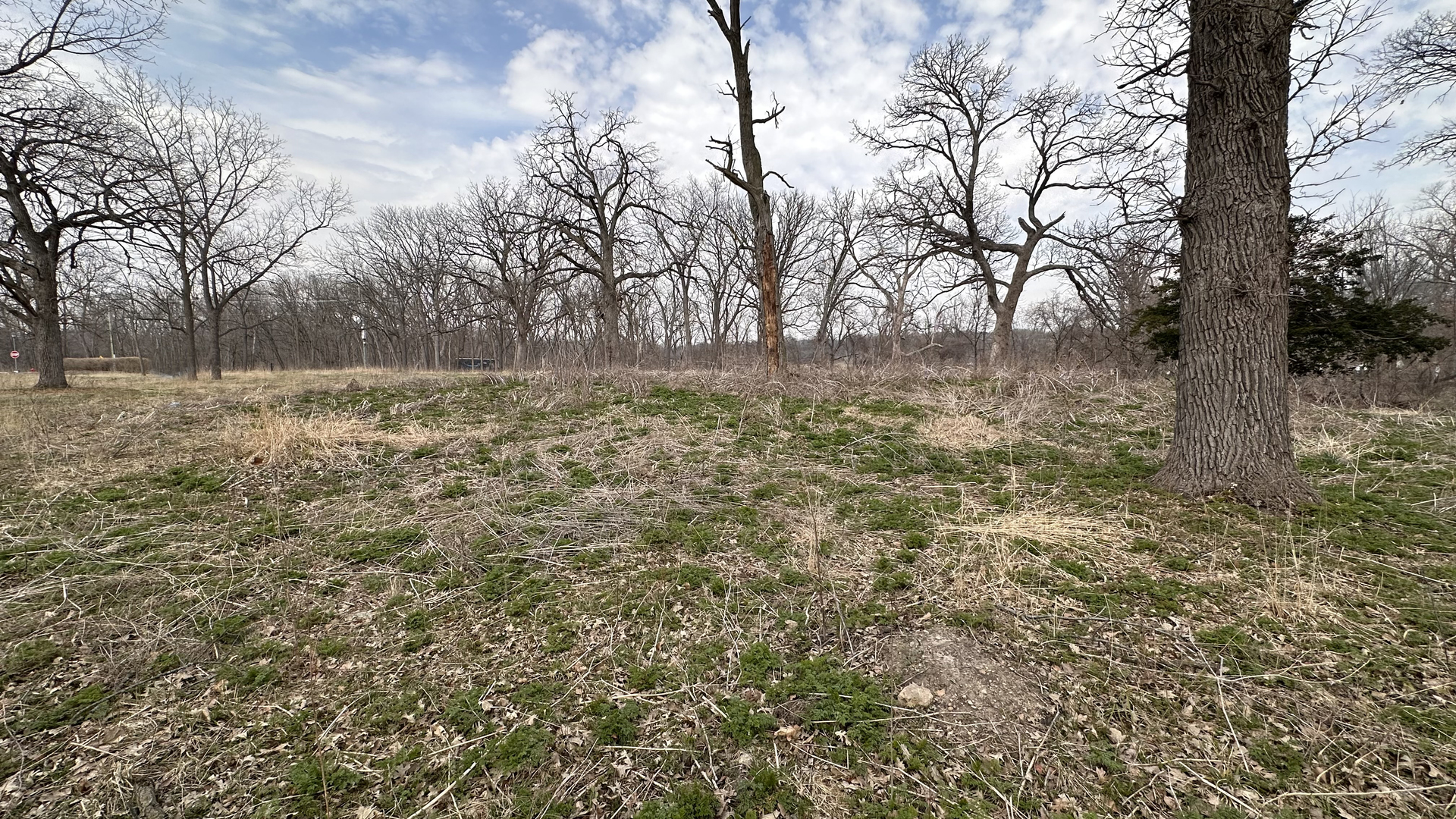 Lot 1 Royal Fox Drive