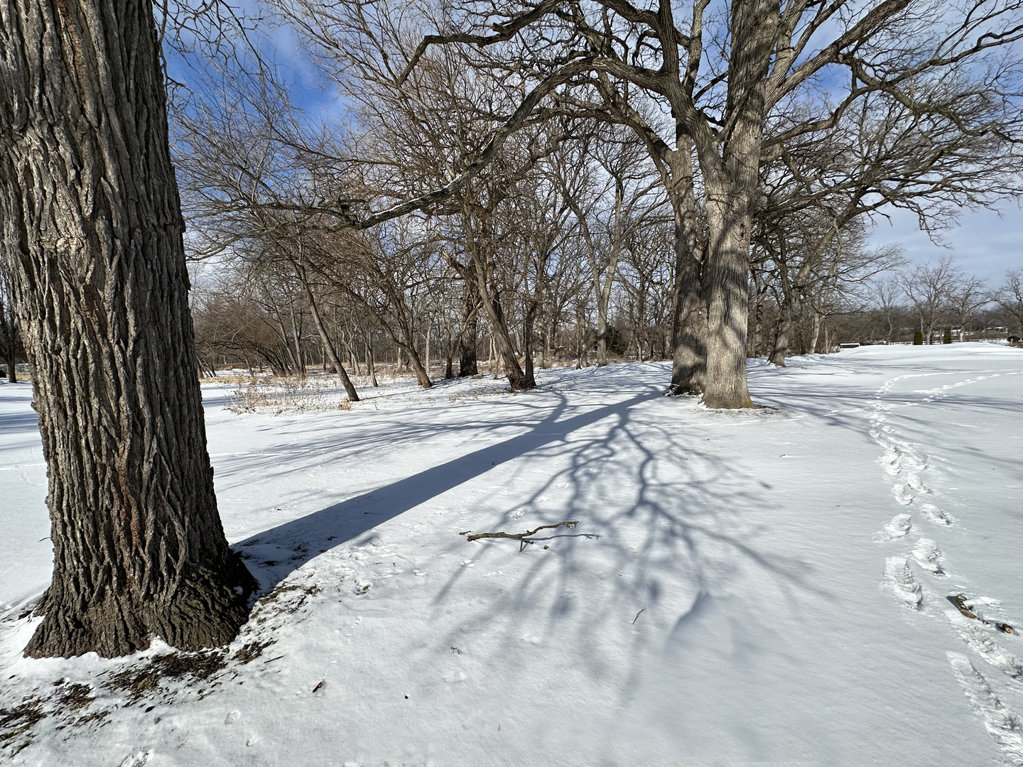 Lot 1 Royal Fox Drive