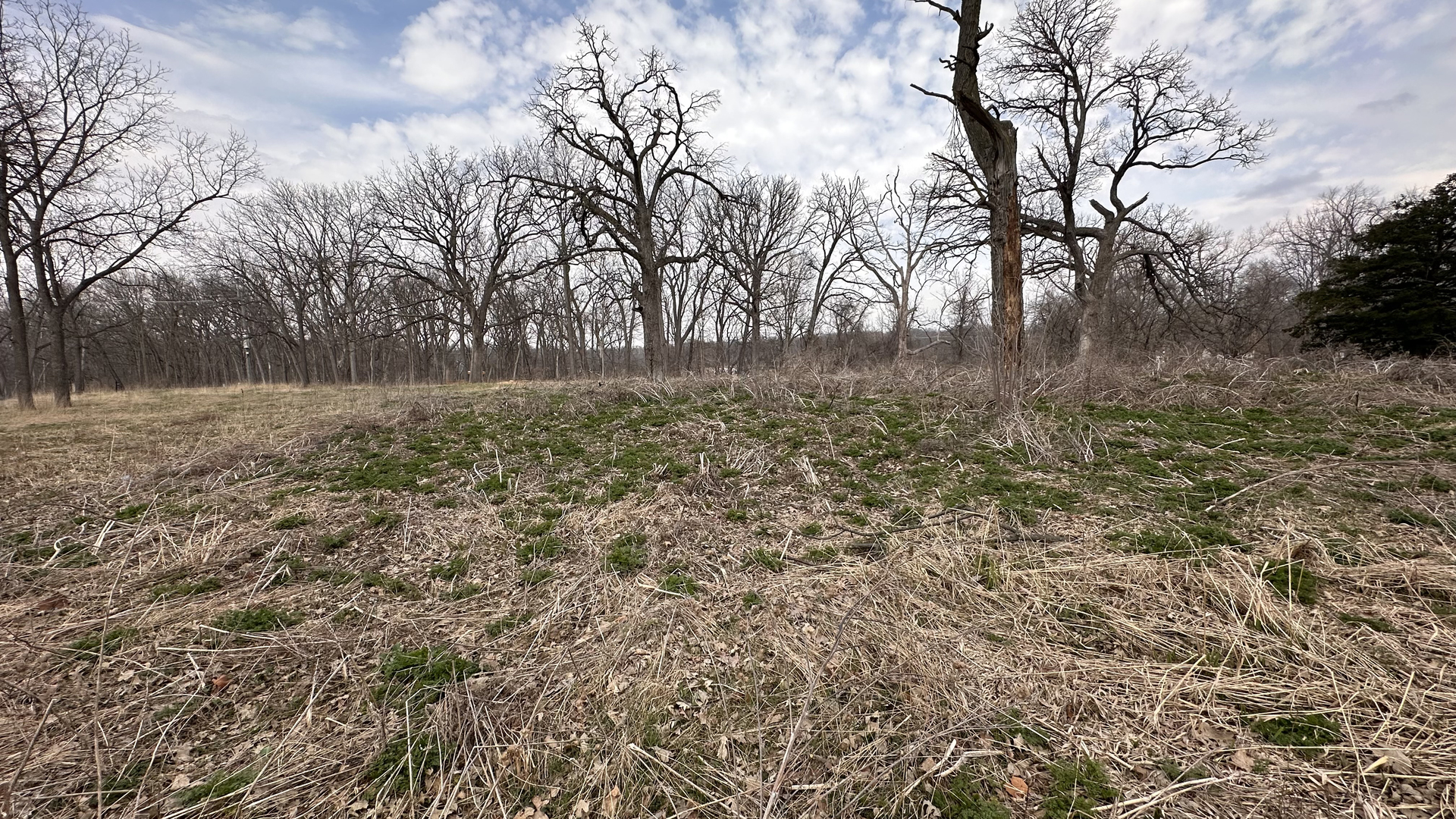 Lot 1 Royal Fox Drive