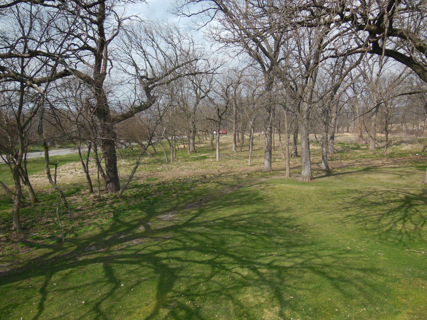 Lot 1 Royal Fox Drive