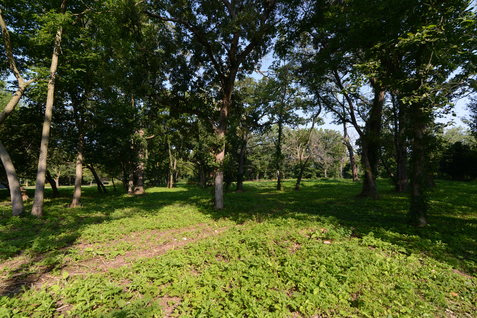Lot 1 Royal Fox Drive