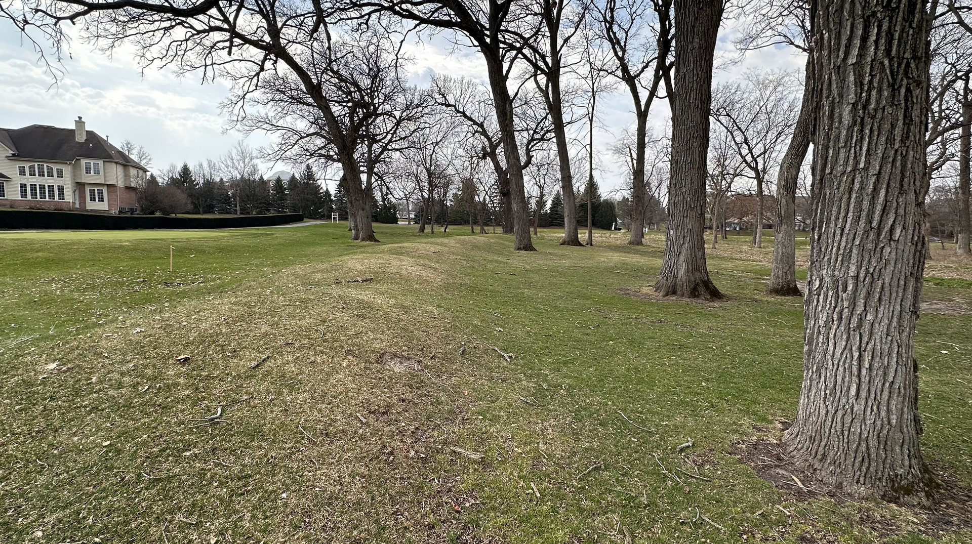 Lot 1 Royal Fox Drive