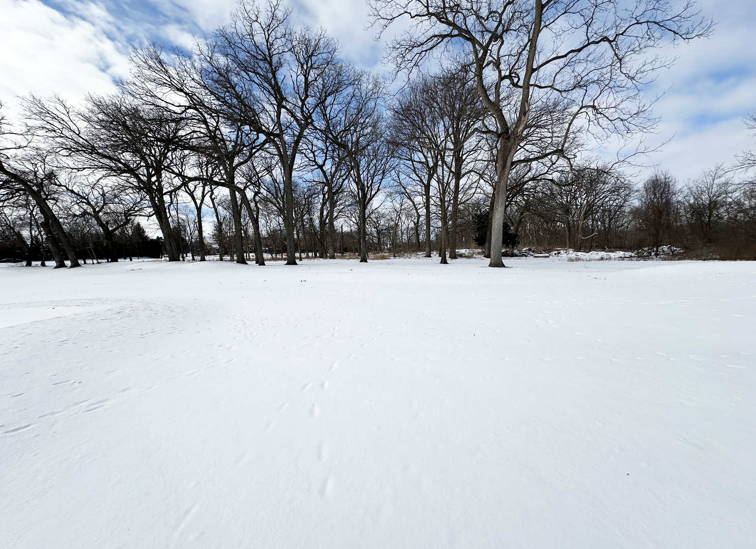 Lot 1 Royal Fox Drive