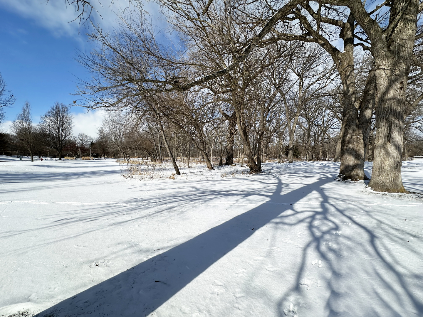 Lot 1 Royal Fox Drive