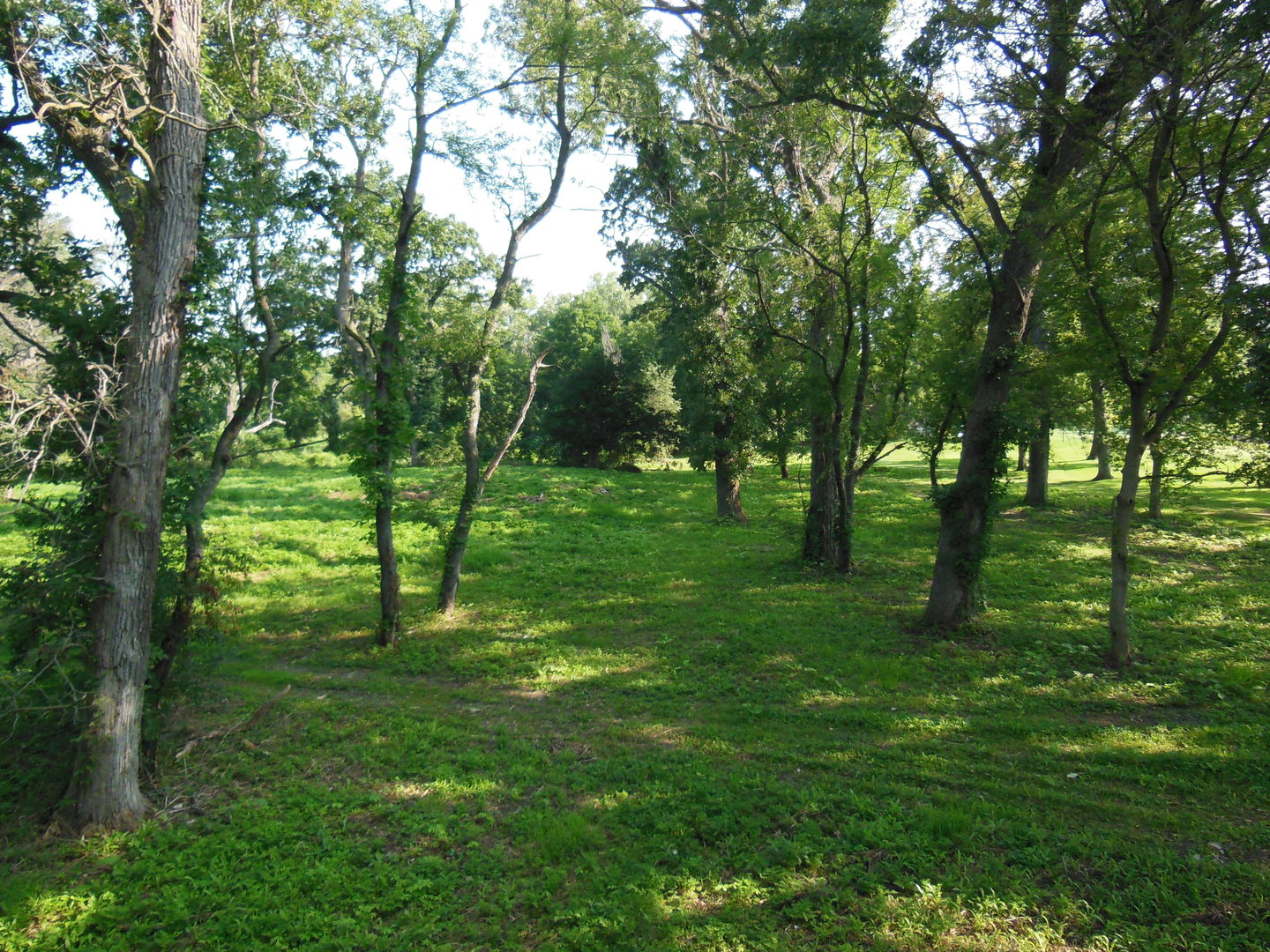 Lot 1 Royal Fox Drive