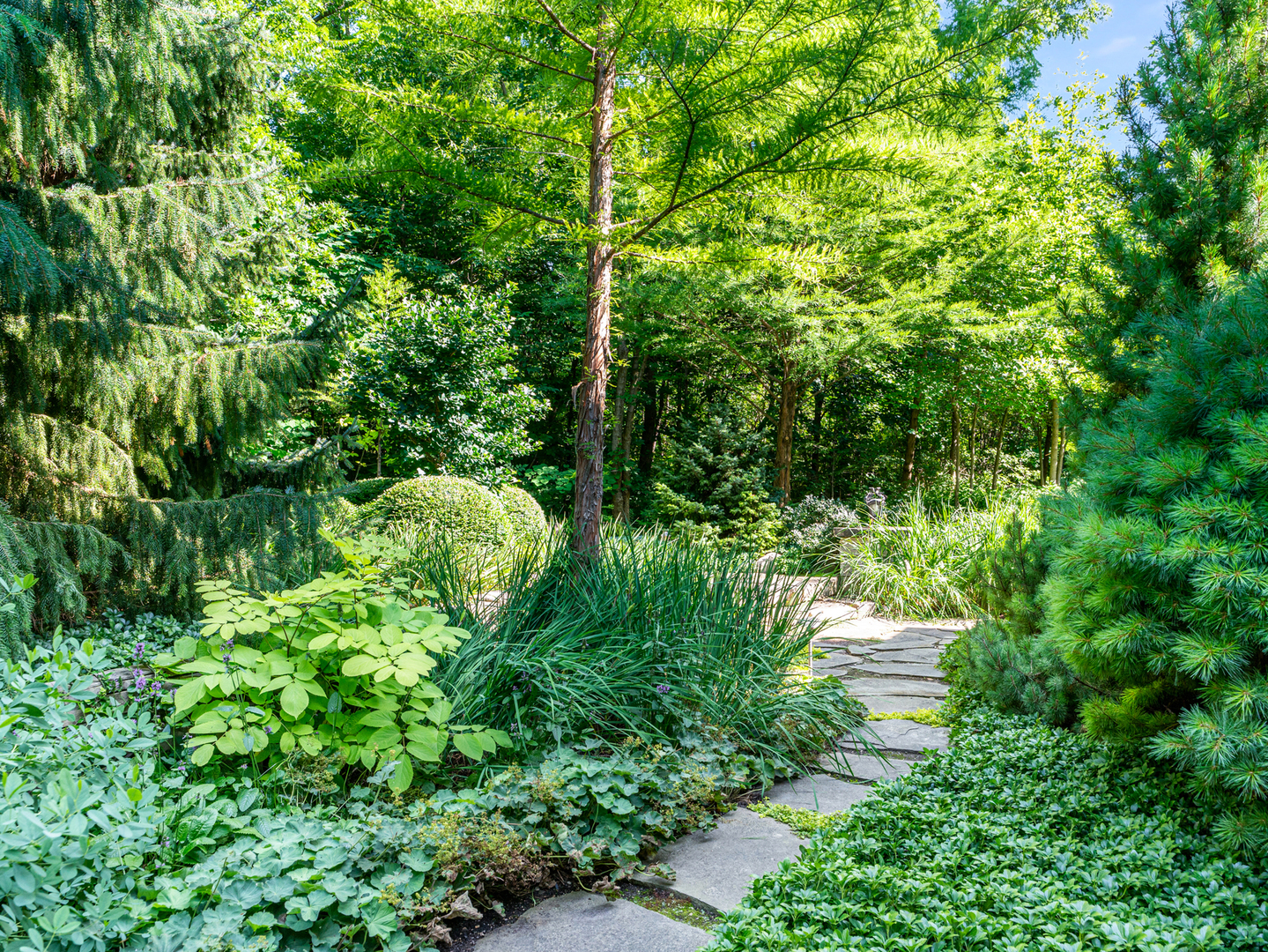 1317 Fox Glen Drive