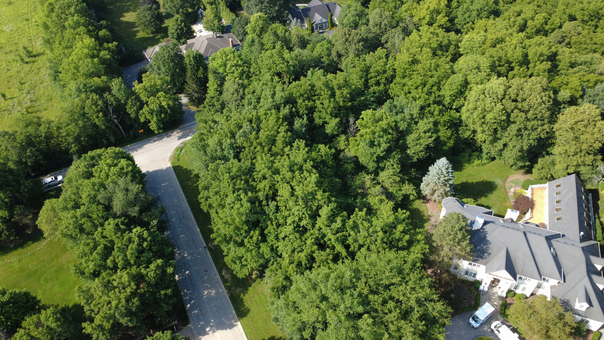 Lot 1 Ware Woods Drive