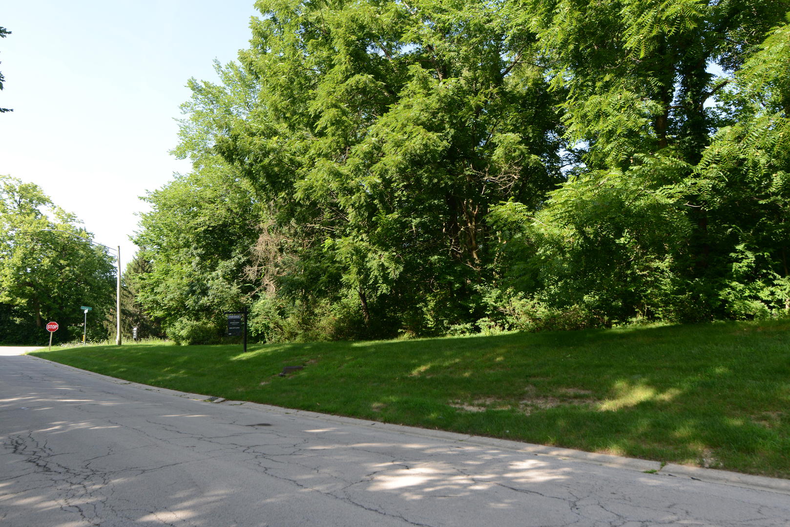 Lot 1 Ware Woods Drive
