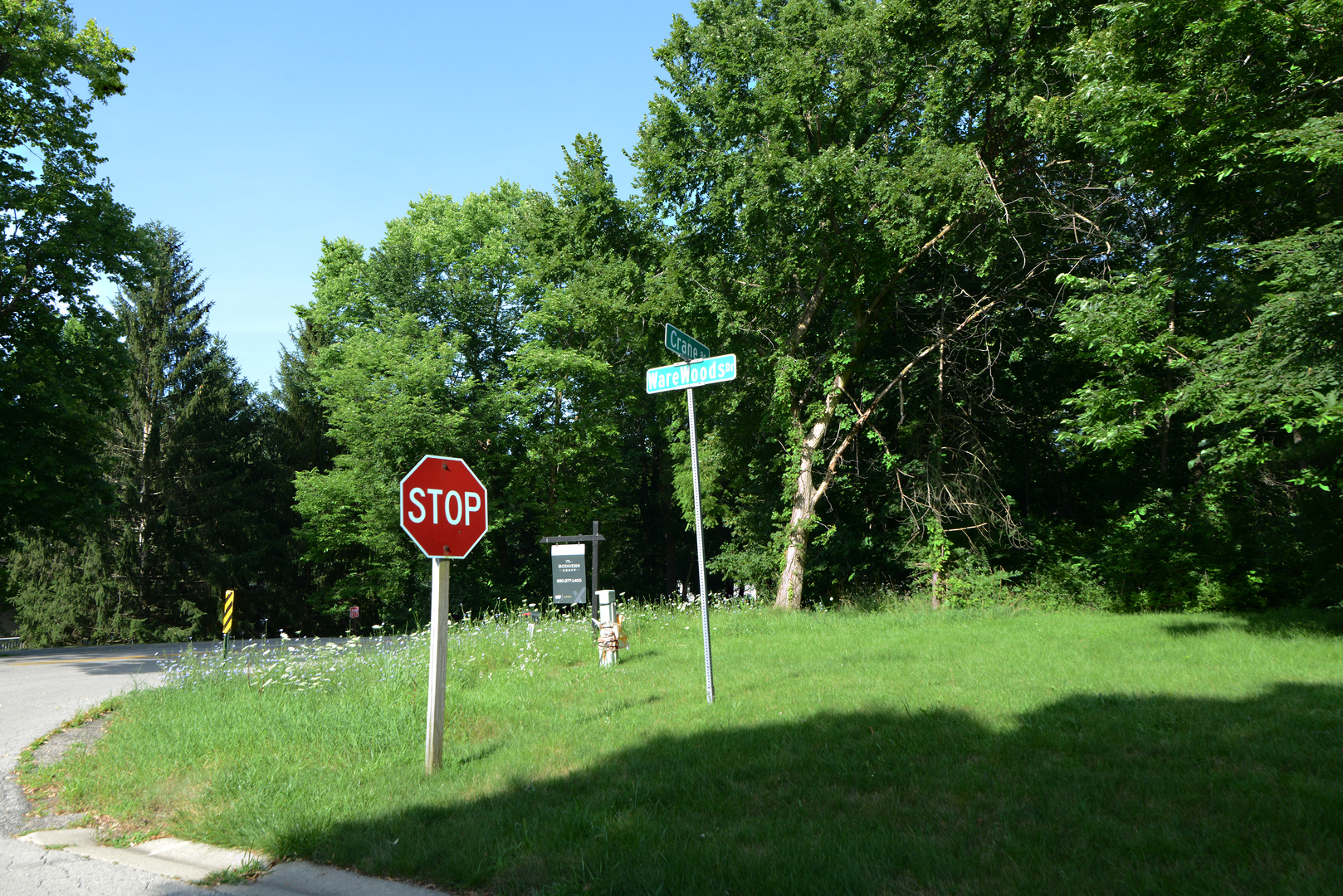 Lot 1 Ware Woods Drive