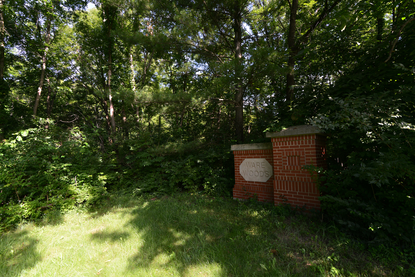 Lot 1 Ware Woods Drive