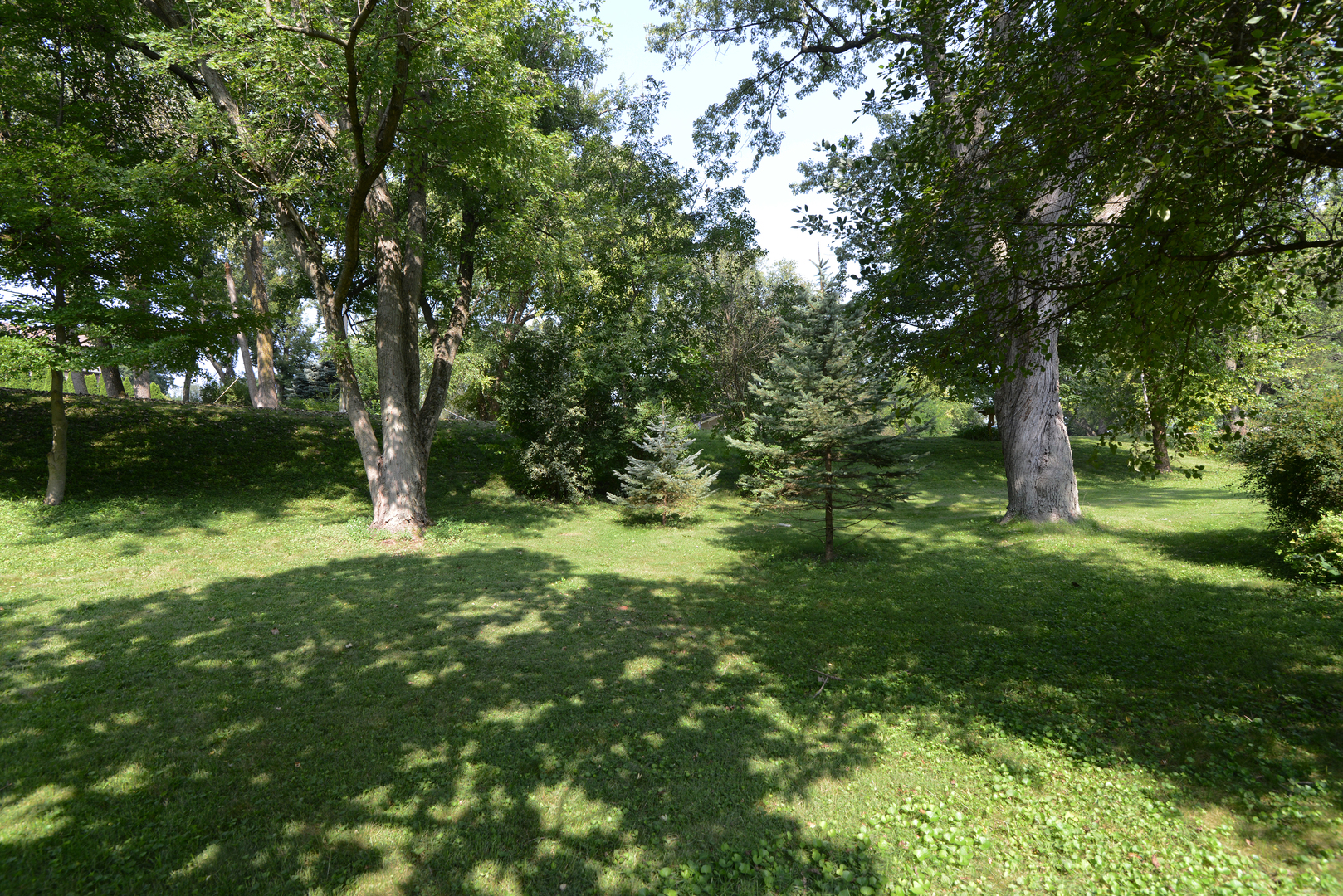 3N353 Pine Hills Road