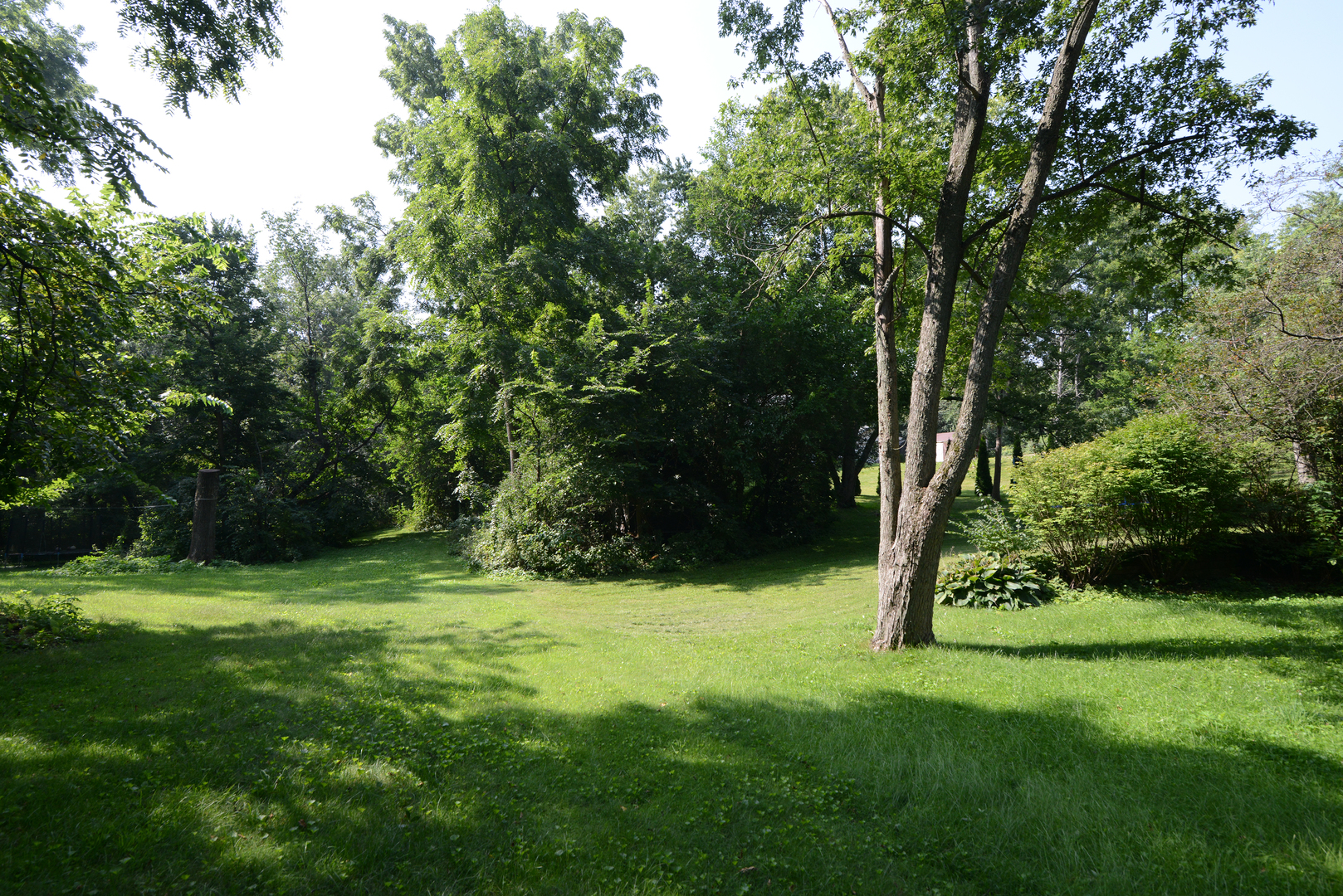 3N353 Pine Hills Road