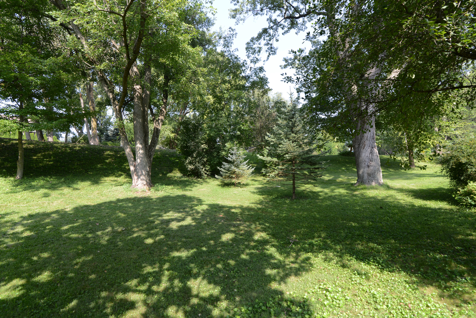 3N353 Pine Hills Road