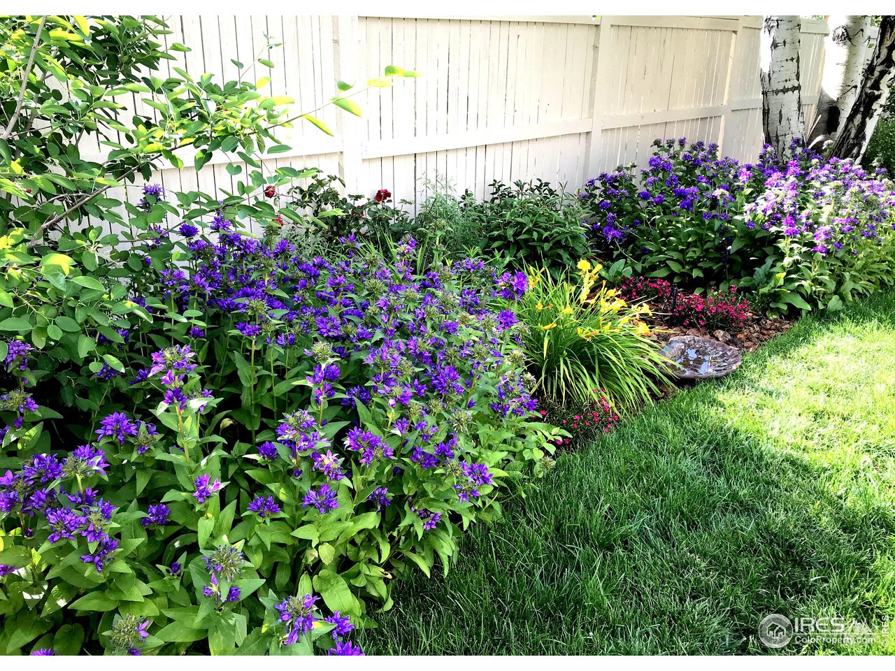 606 Blue Azurite Ave