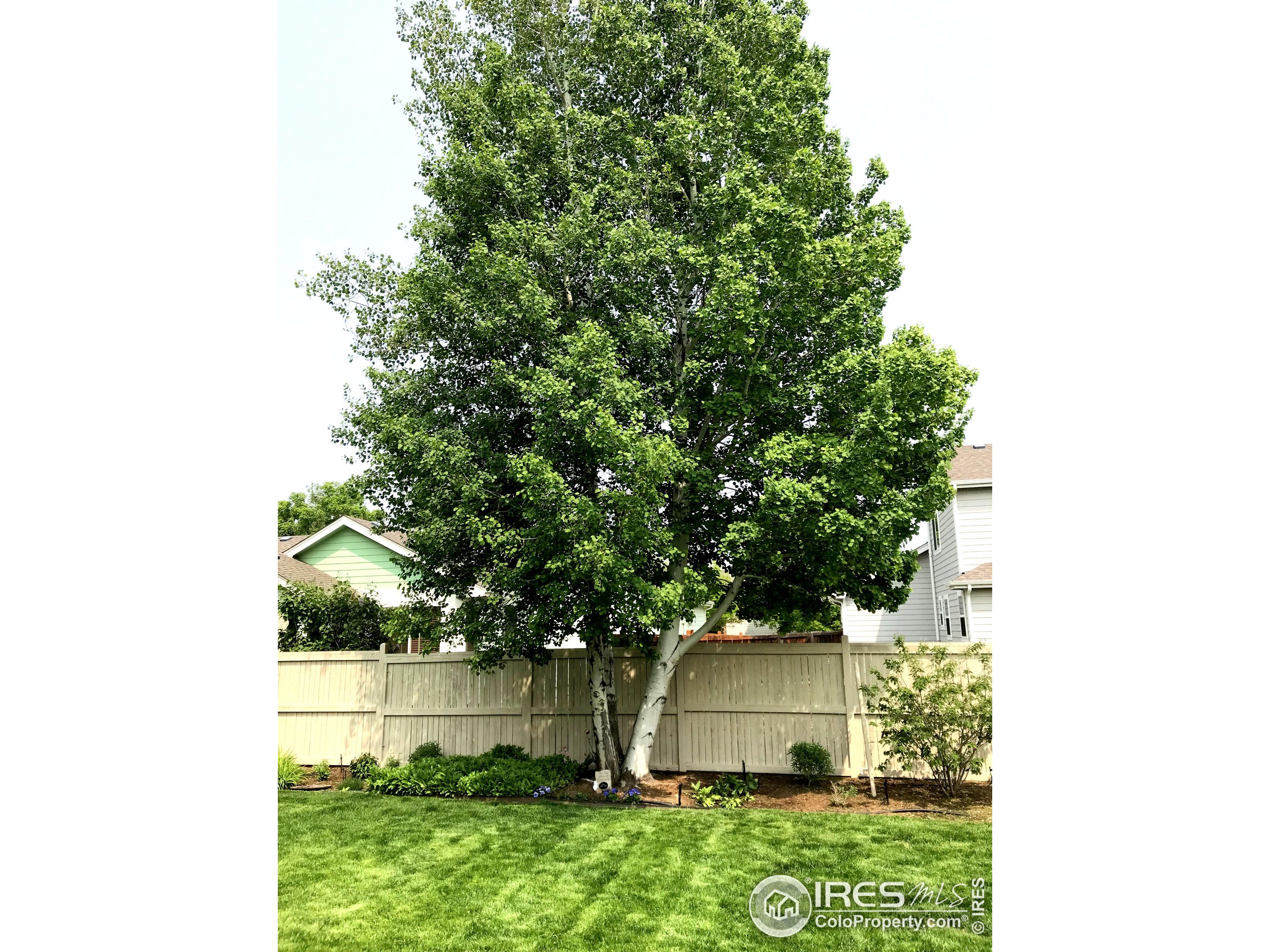 606 Blue Azurite Ave