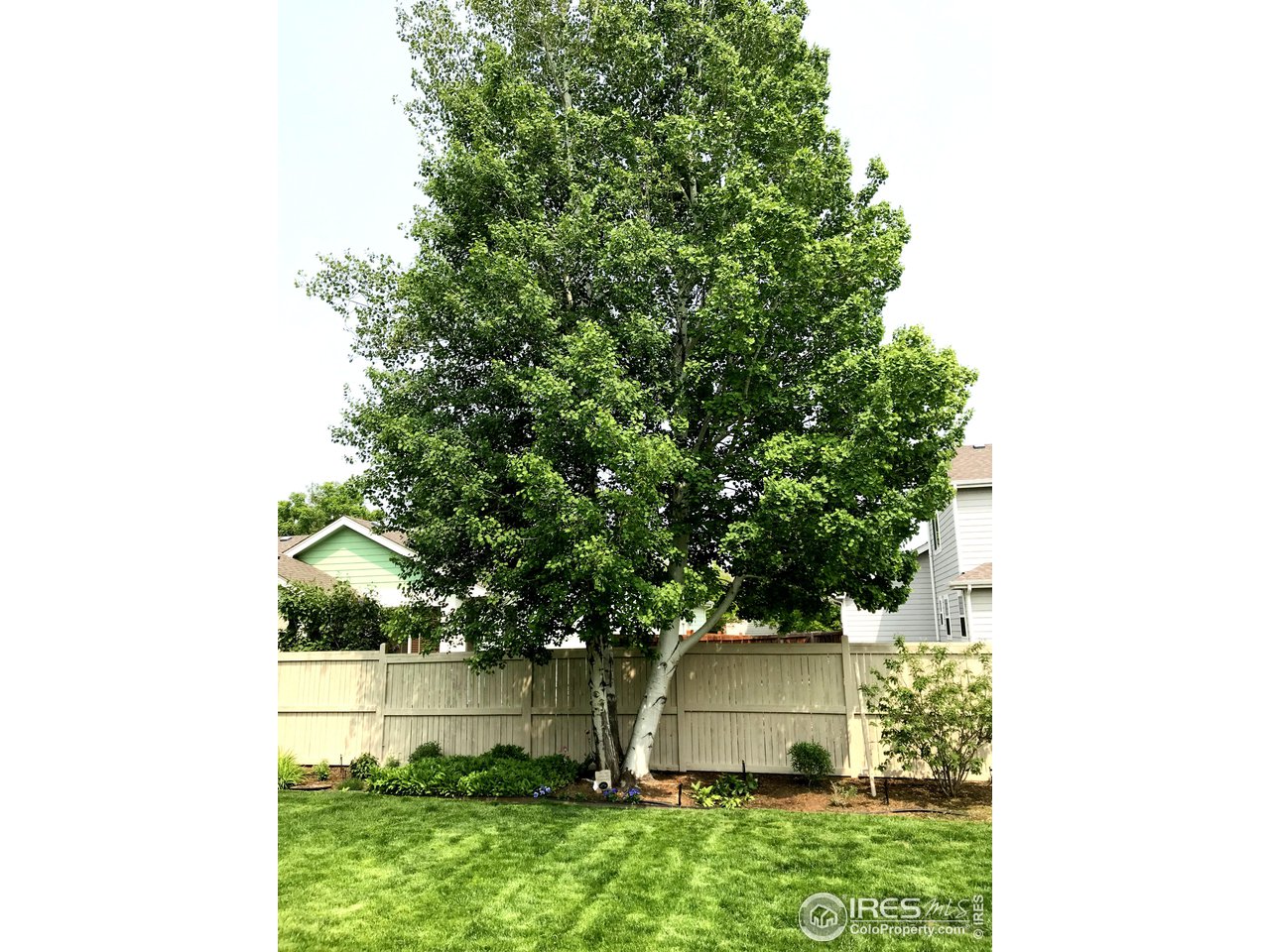 606 Blue Azurite Ave