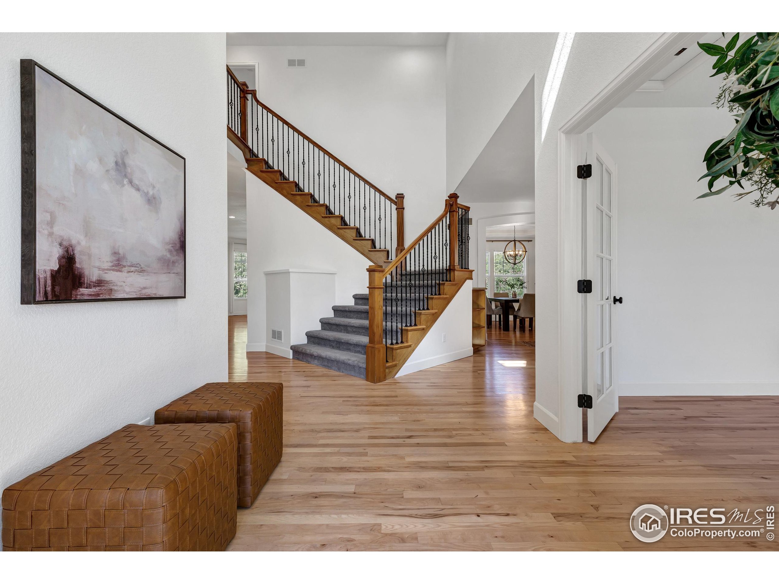 5639 Cardinal Flower Ct