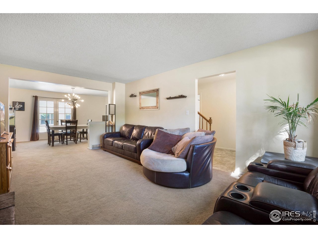 907 Rocky Mountain Way