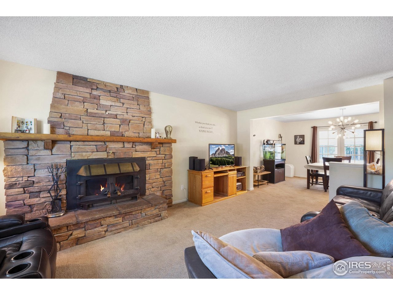 907 Rocky Mountain Way