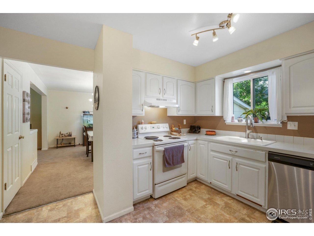 907 Rocky Mountain Way