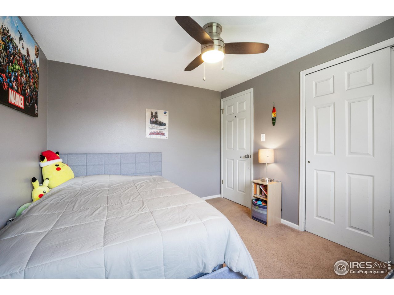 907 Rocky Mountain Way