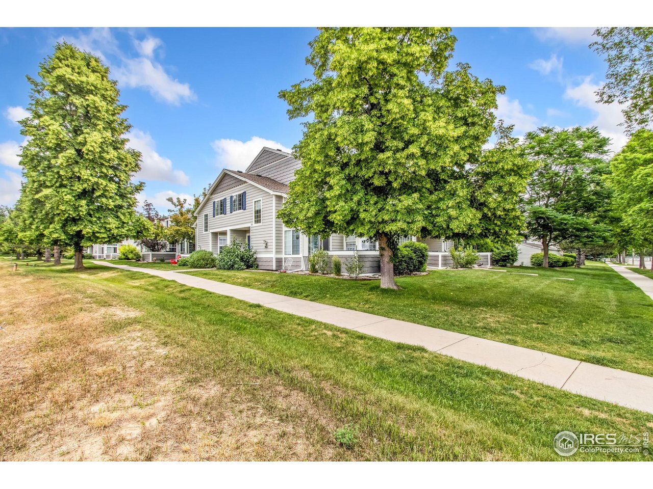 2502 Timberwood Dr 104