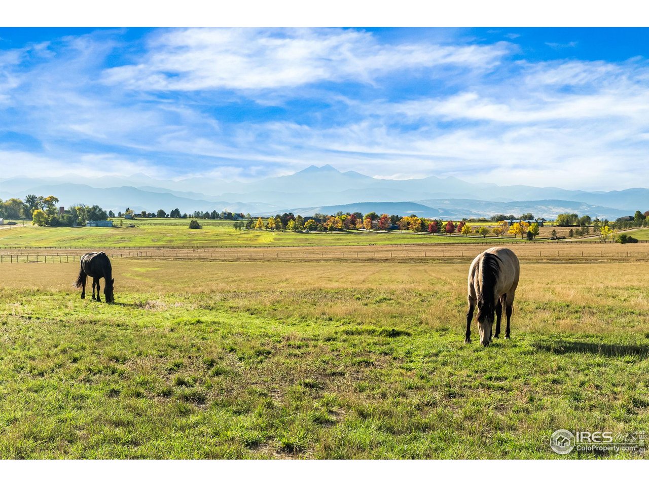 12625 Vermillion Rd Longmont