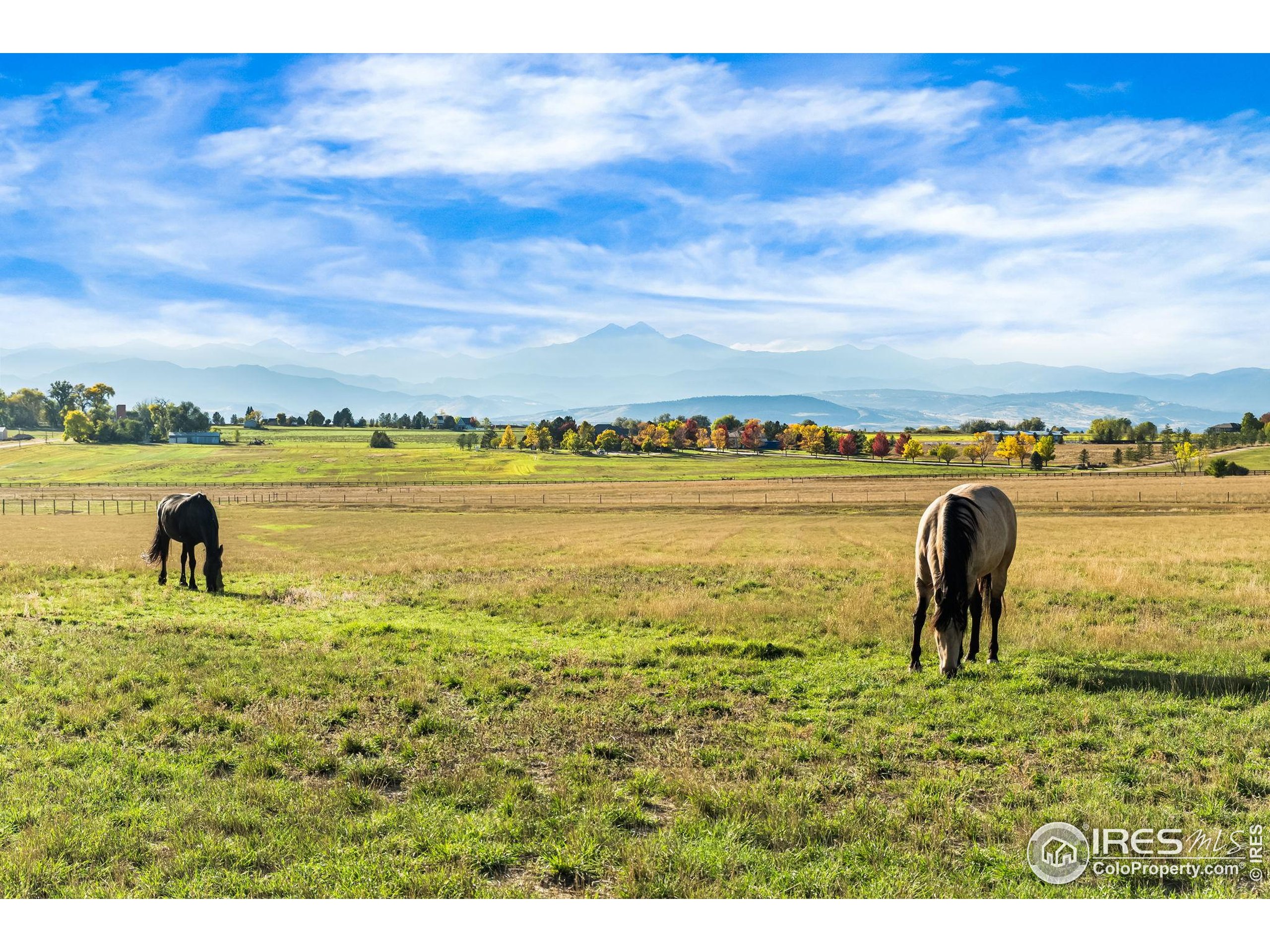 12625 Vermillion Rd Longmont