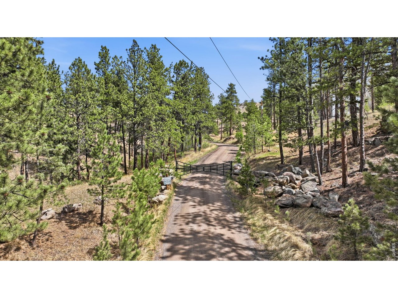 275 Crocus Dr
