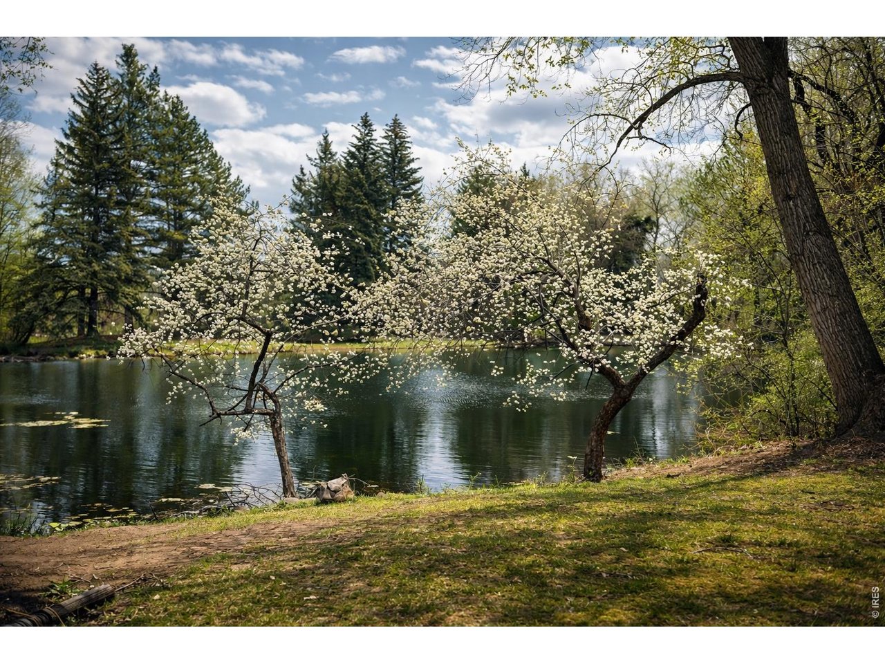 1901 Waters Edge St E