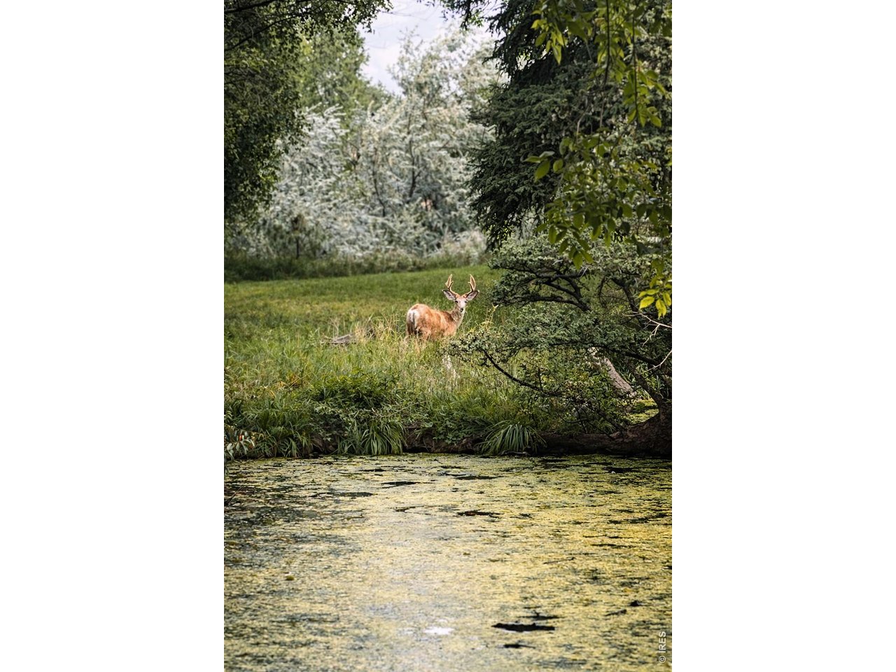 1901 Waters Edge St E