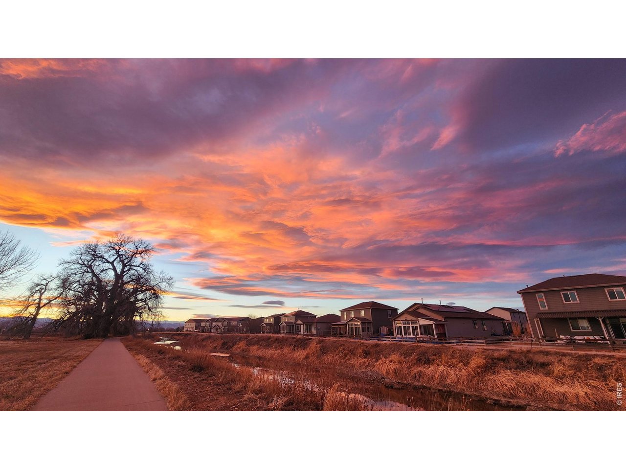 1637 Stoll Dr