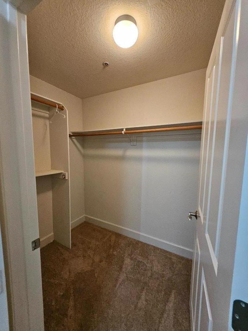 20488 Stevens Creek BLVD 1713