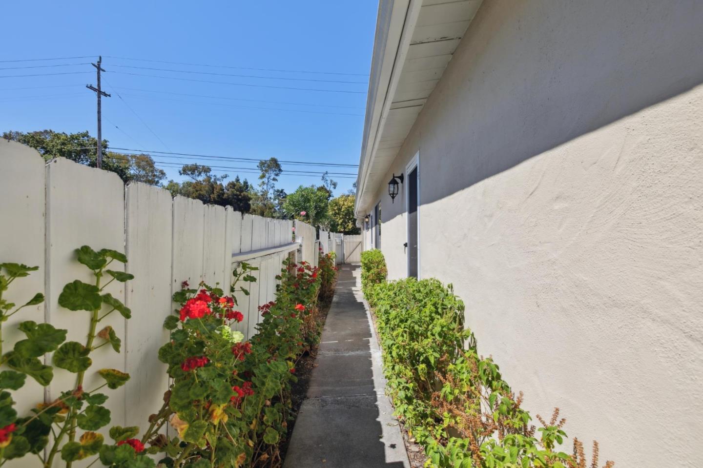 3271 Alma Street