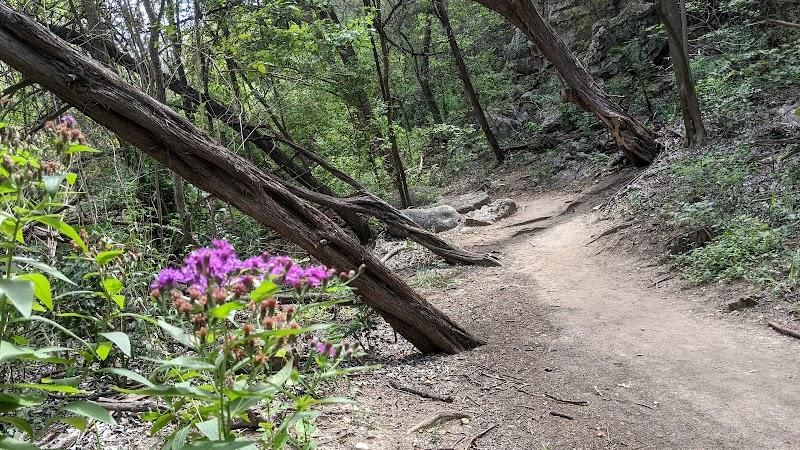 2801 HORSESHOE BEND CV