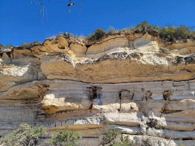 2801 HORSESHOE BEND CV