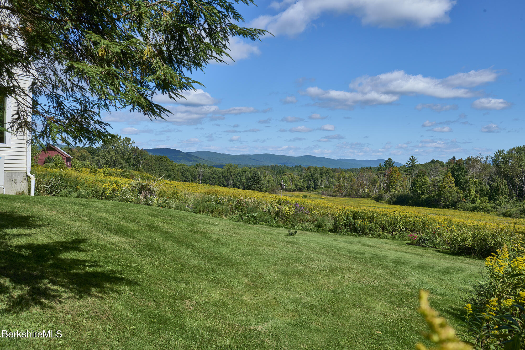 Flowering meadow and expansive lawn beside a house, with distant wooded mountain ridges.