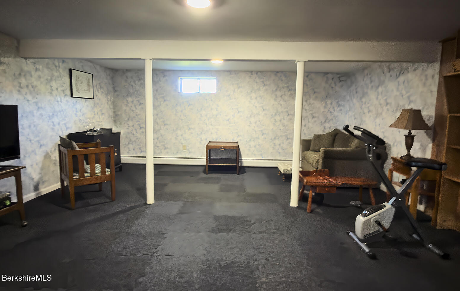 Basement recreation room with a sofa, gray carpet, and an exercise bike.