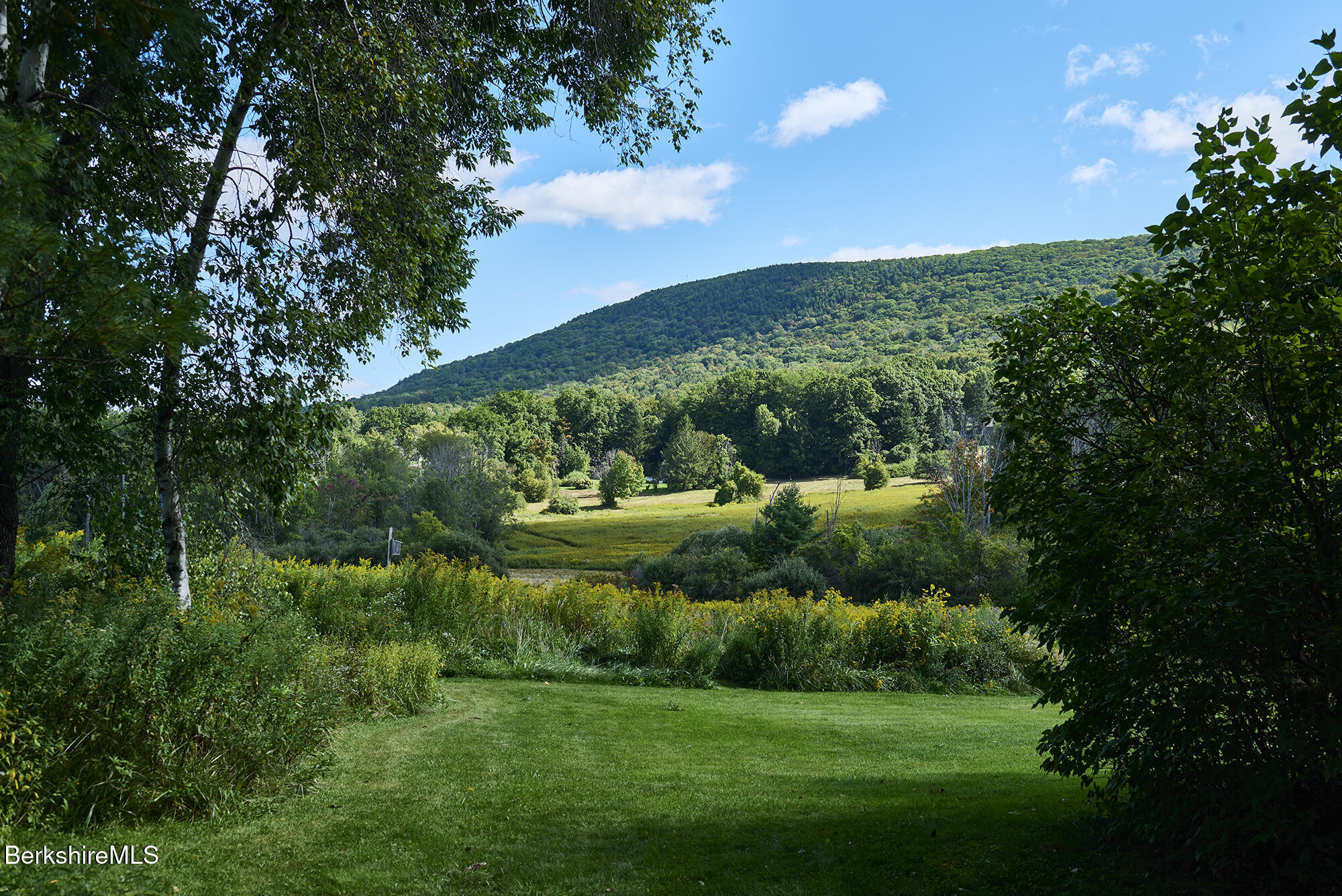 Meadow and forested mountain viewed from a tree-framed lawn.